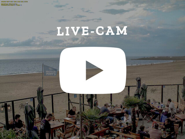 Perrys live cam thumb